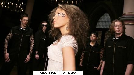 :d lafee