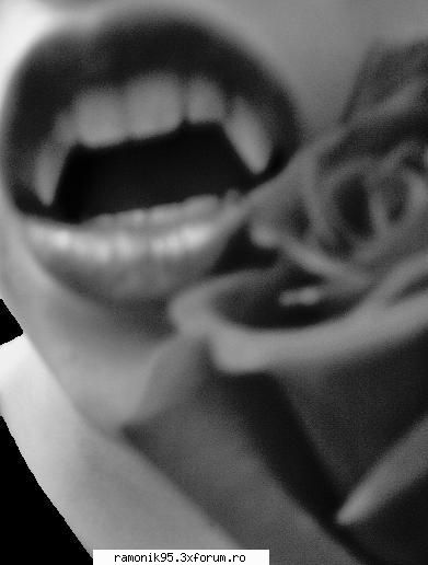 Vampires - Voua ce va plac mai mult? Vampirii sau - rock & th 4 ever